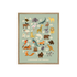 ABECEDAIRE LA CARTE DES ANIMAUX