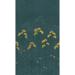 LUMIO