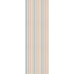 COLOR STRIPE