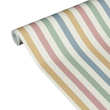 COLOR STRIPE
