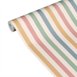 COLOR STRIPE