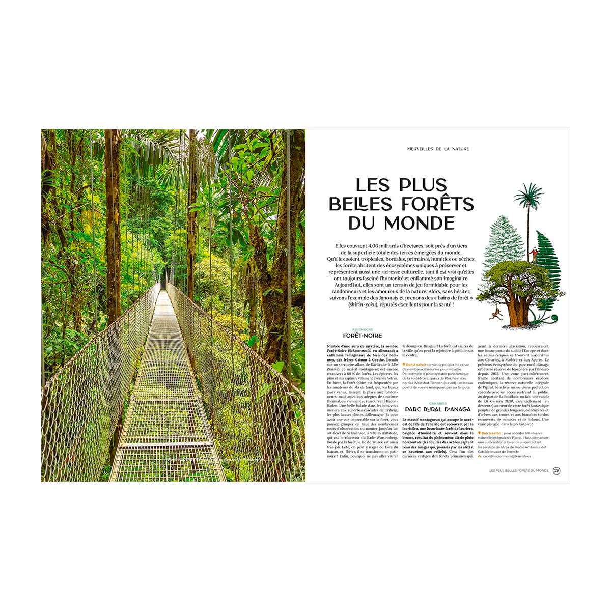 HACHETTE PRATIQUE Livre voyage et nature Voyages Blanc