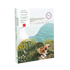 PIQUE-NIQUE À ETRETAT