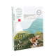 LA PETITE ÉPICERIE Peinture par numéros Pique-nique à etretat Multicolore