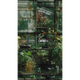 Papier peint panoramique L Cardinham Vert Trame