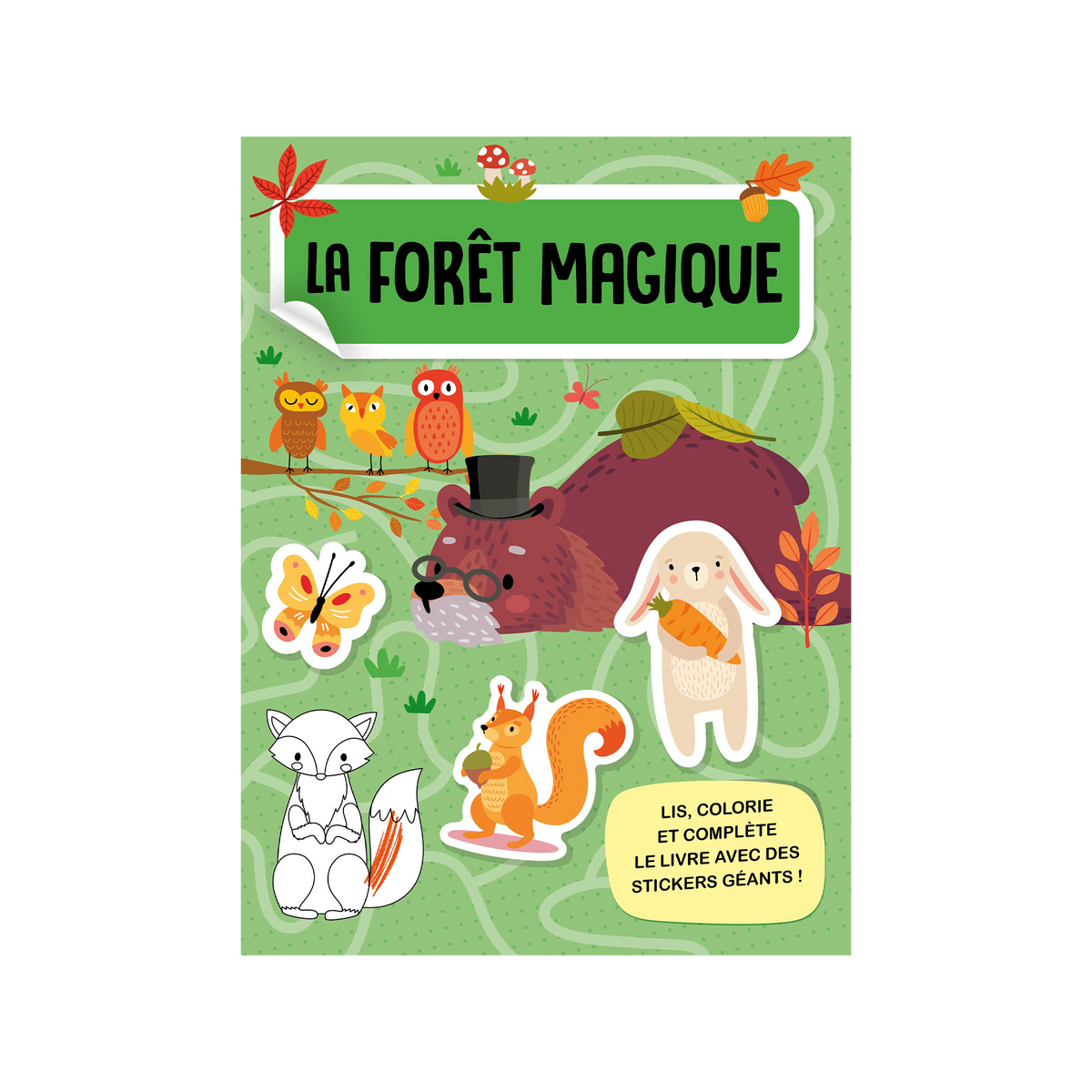 SASSI JUNIOR Coloriage Méga arts & crafts - la forêt magique Vert