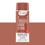 RELOOK TOUT aérosol