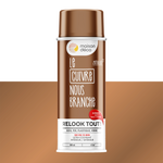 RELOOK TOUT aérosol