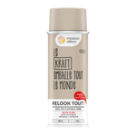 RELOOK TOUT aérosol