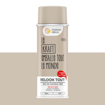 RELOOK TOUT aérosol