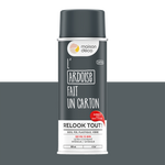 RELOOK TOUT aérosol