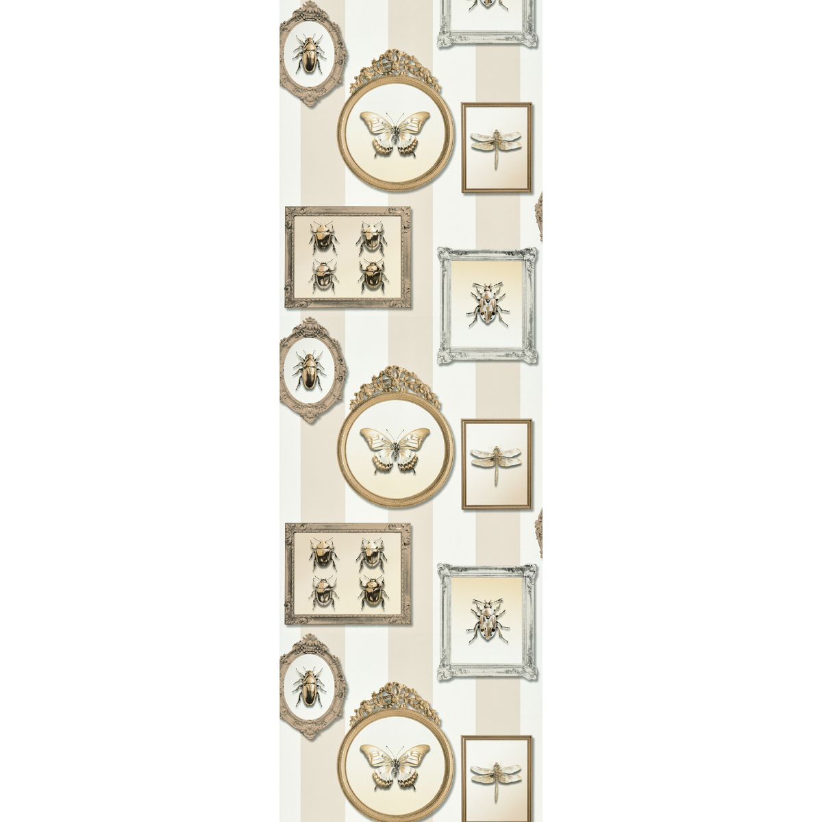 Papier peint intissé Insect portrait Sable beige