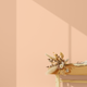 ABSOLU Peinture Absolu Chai latte Mat