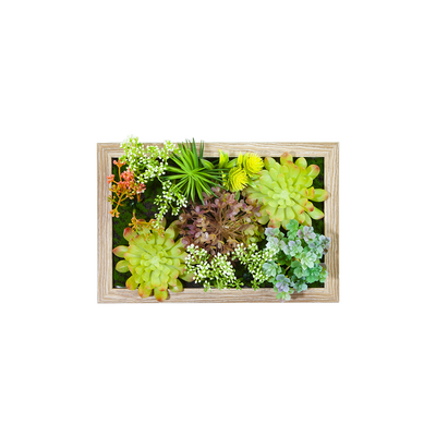 Déco murale Eden Vert