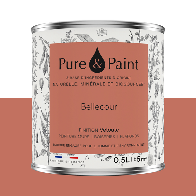 Pure and Paint Peinture Peinture BELLECOUR 0,5 L