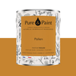 PURE AND PAINT