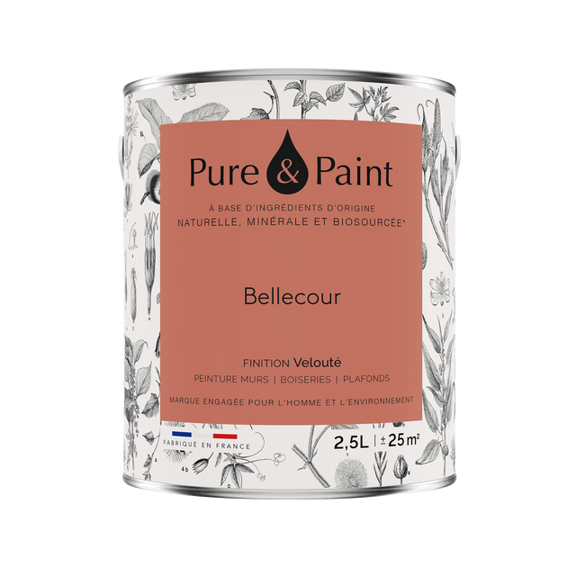 Pure and Paint Peinture Peinture BELLECOUR