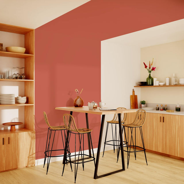 Pure and Paint Peinture Peinture BELLECOUR