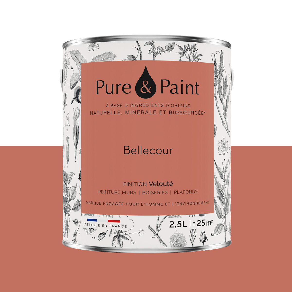PURE AND PAINT Peinture Pure and paint Bellecour Mat