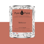 PURE AND PAINT