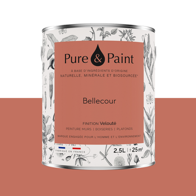 PURE AND PAINT Peinture Pure and paint Bellecour Mat