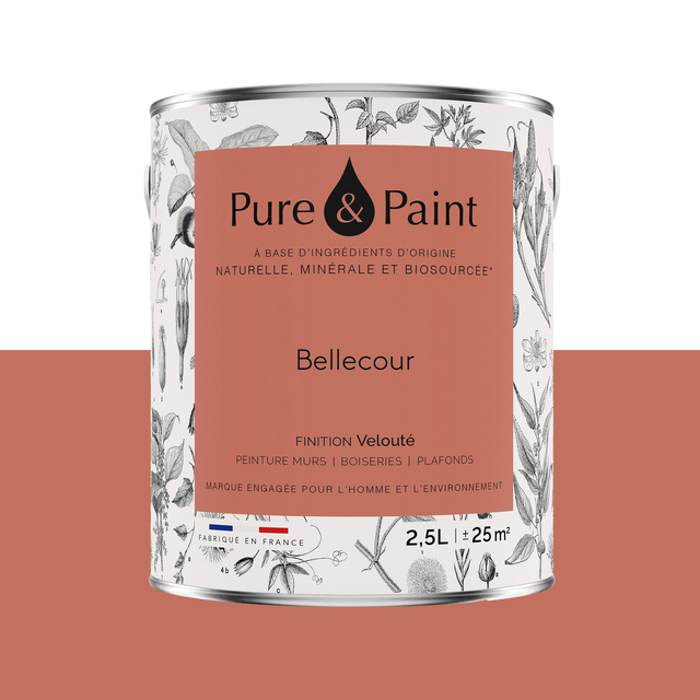 Pure and Paint Peinture Peinture BELLECOUR
