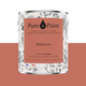 PURE AND PAINT Peinture Pure and paint Bellecour Mat