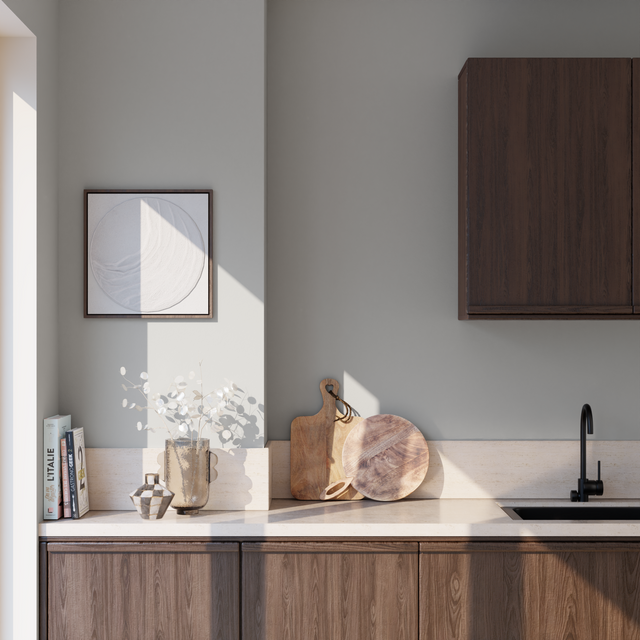 Pure and Paint Peinture Peinture gris fumé