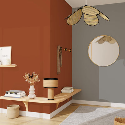 PURE AND PAINT Peinture Pure and paint Gris fumé Mat