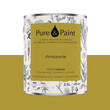 PURE AND PAINT