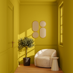 PURE AND PAINT