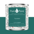 PURE AND PAINT
