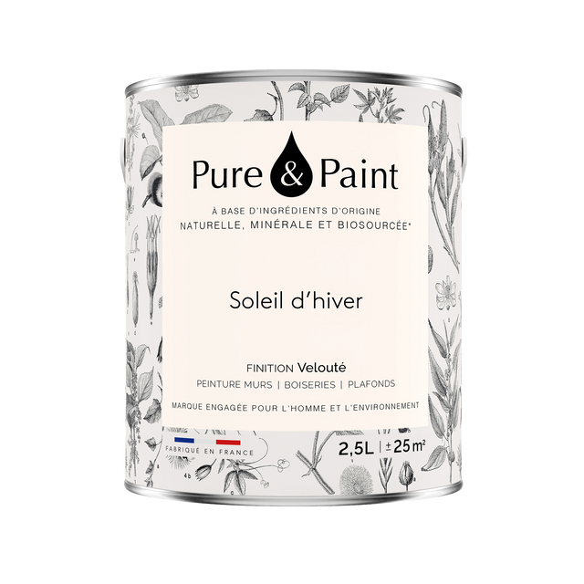 Pure and Paint Peinture Peinture SOLEIL D'HIVER