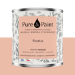 PURE AND PAINT