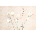 FIORI