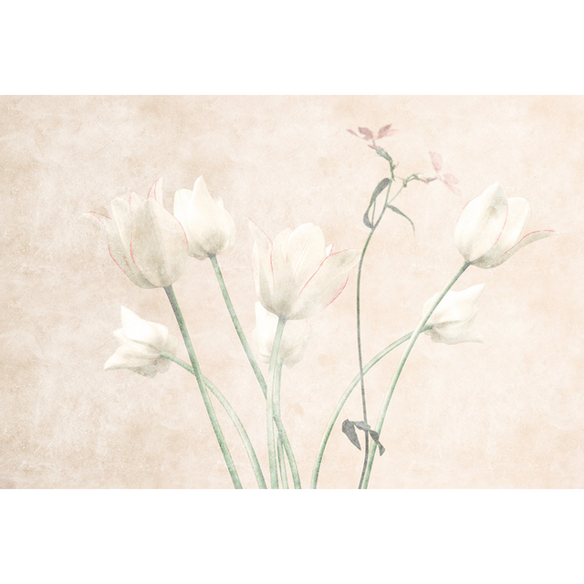 Papier peint panoramique XL FIORI 400 x 270 cm