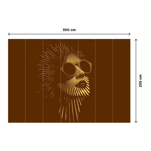 Papier peint panoramique XL MADONNE 350 x 255 cm noir rougi