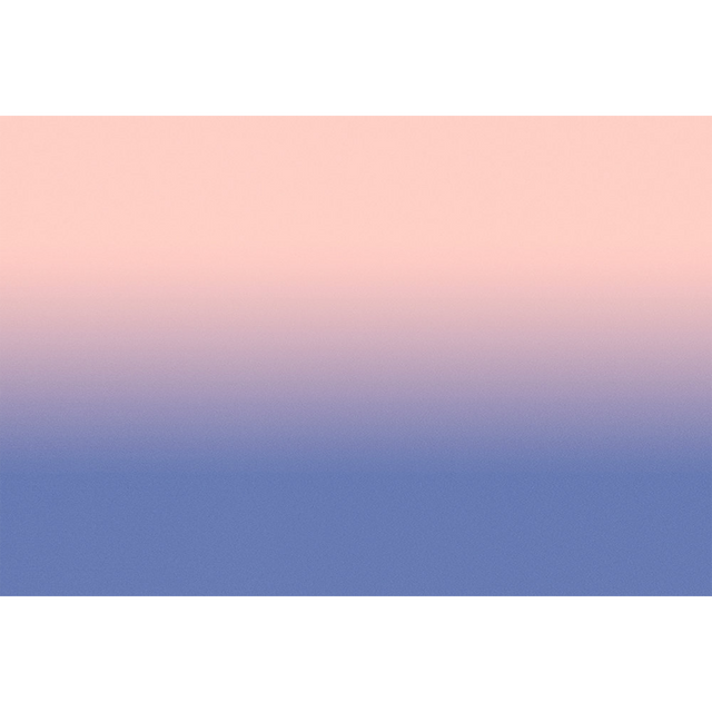 Papier peint panoramique XL MYRIEL 400 x 270 cm bleu urbain et rose poudré