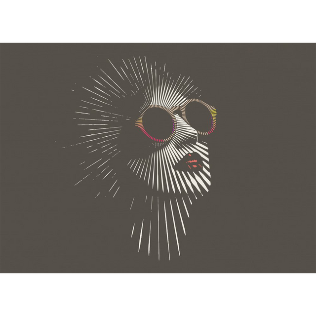 Papier peint panoramique XL MADONNE 350 x 255 cm anthracite