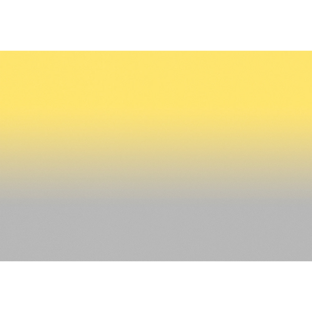 Papier peint panoramique XL MYRIEL 400 x 270 cm jaune et gris perle