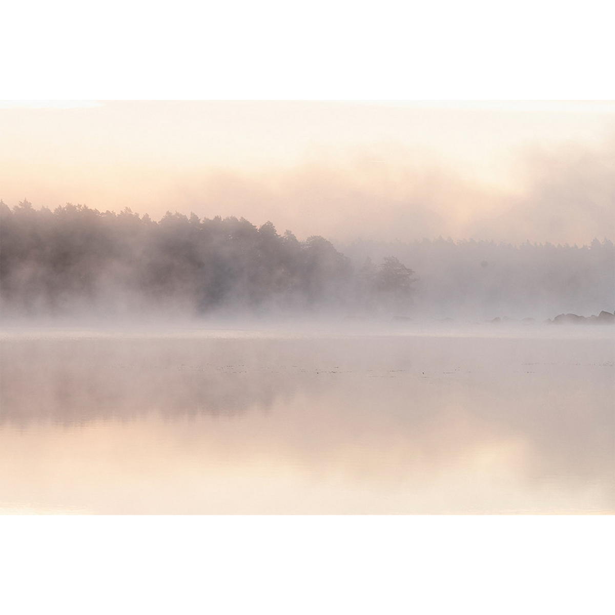 Papier peint panoramique XL Noah Camaïeux de beige orangé Brillant
