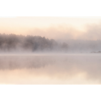 Papier peint panoramique XL Noah Camaïeux de beige orangé Brillant