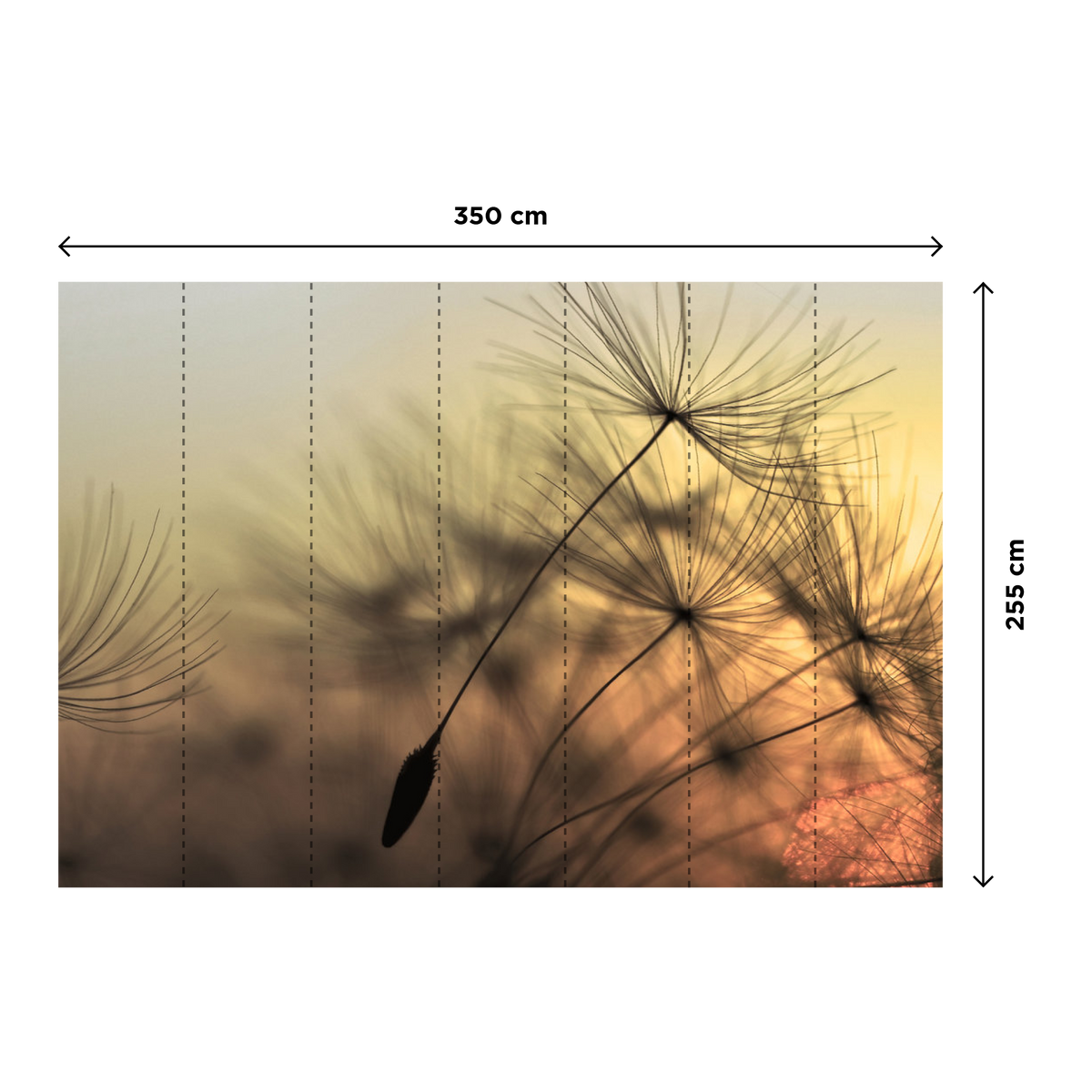 Papier peint panoramique XL Purity Été indien Mat