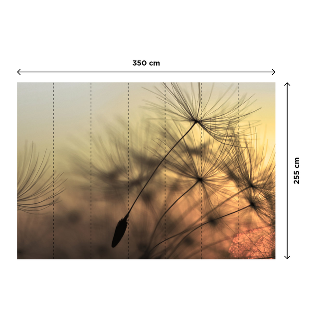 Papier peint panoramique XL PURITY 350 x 255 cm