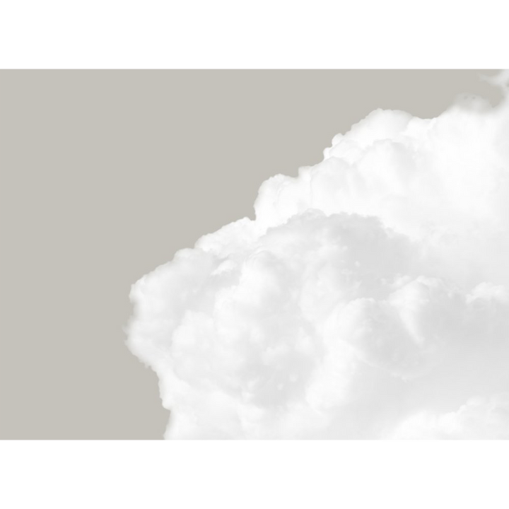 Papier peint panoramique XL Novela Gris perle et blanc Mat