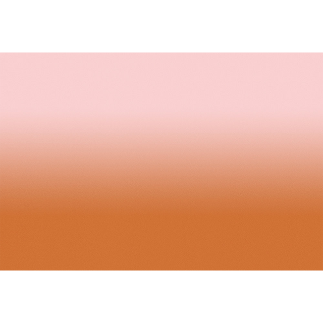 Papier peint panoramique XL MYRIEL 400 x 270 cm terre battue et rose