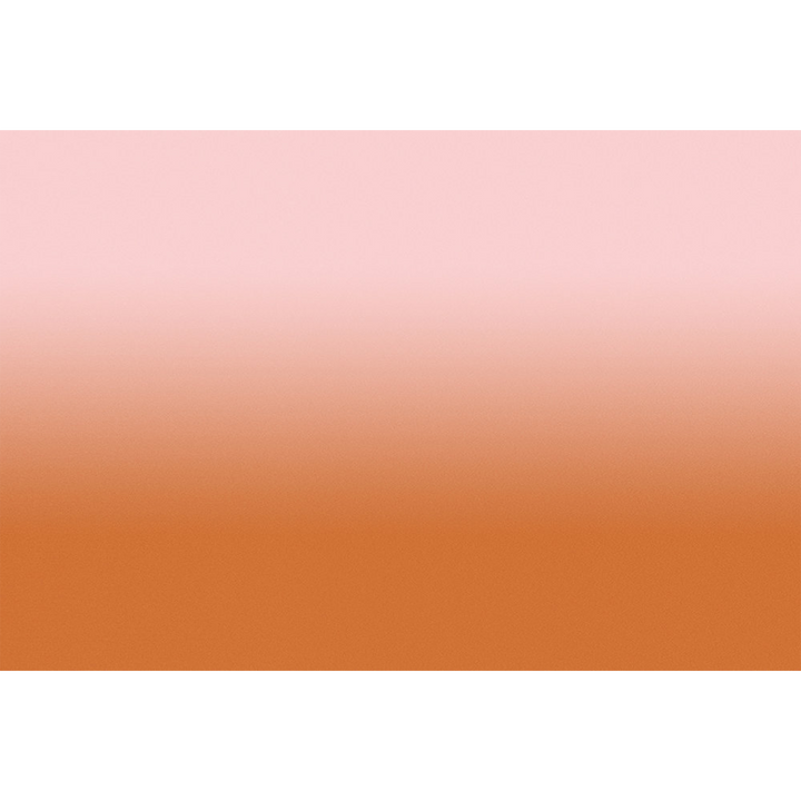 Papier peint panoramique XL Myriel Terre battue et rose Brillant