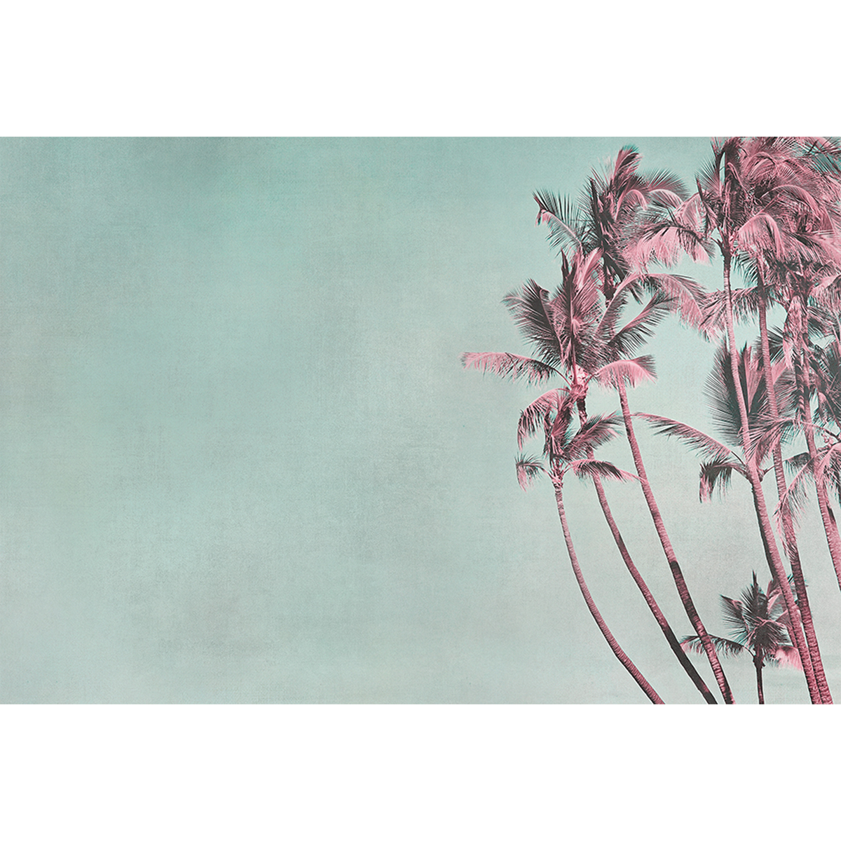 Papier peint panoramique XL The palm Bleu acier Brillant
