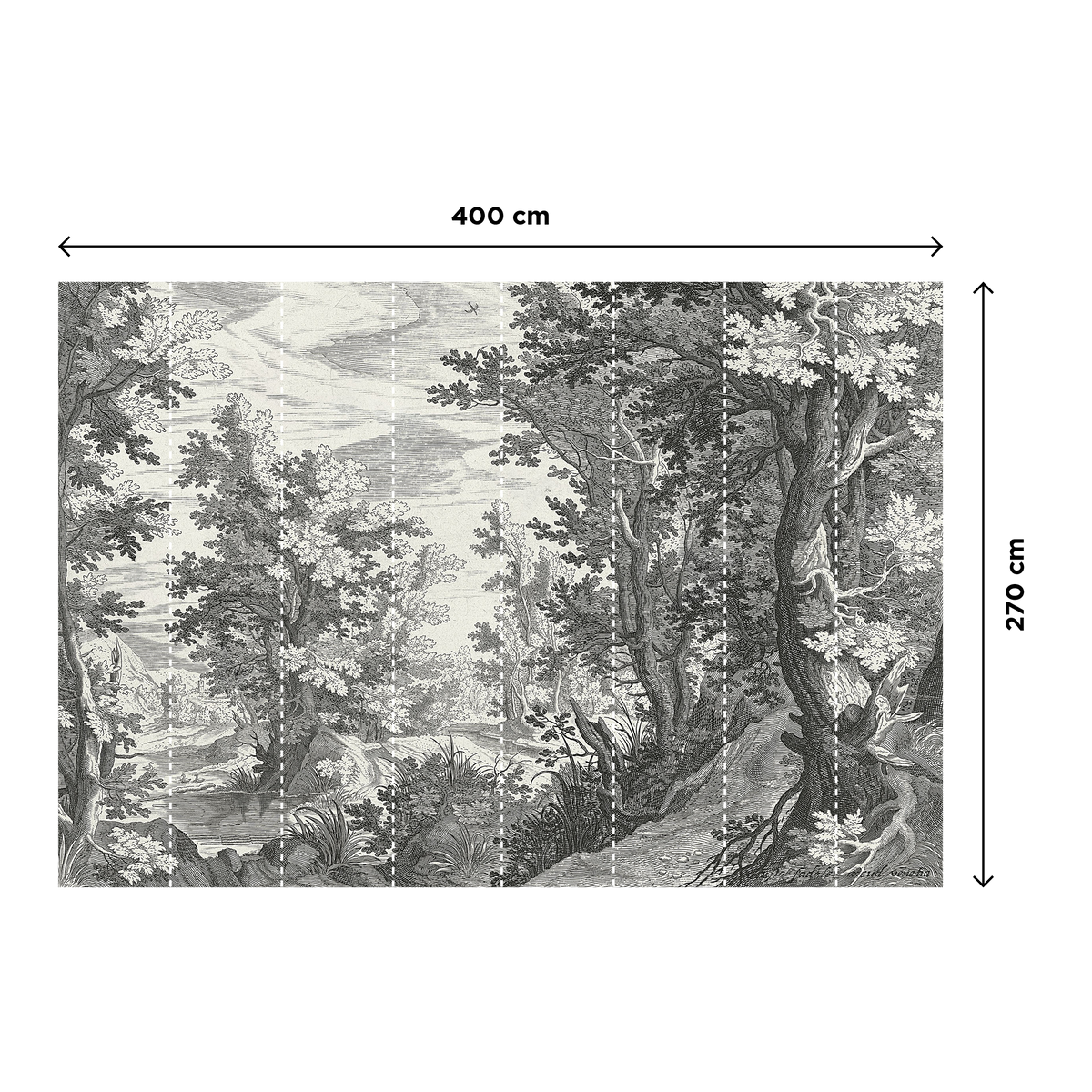 Papier peint panoramique XL Fancy forest Gris anthracite Brillant