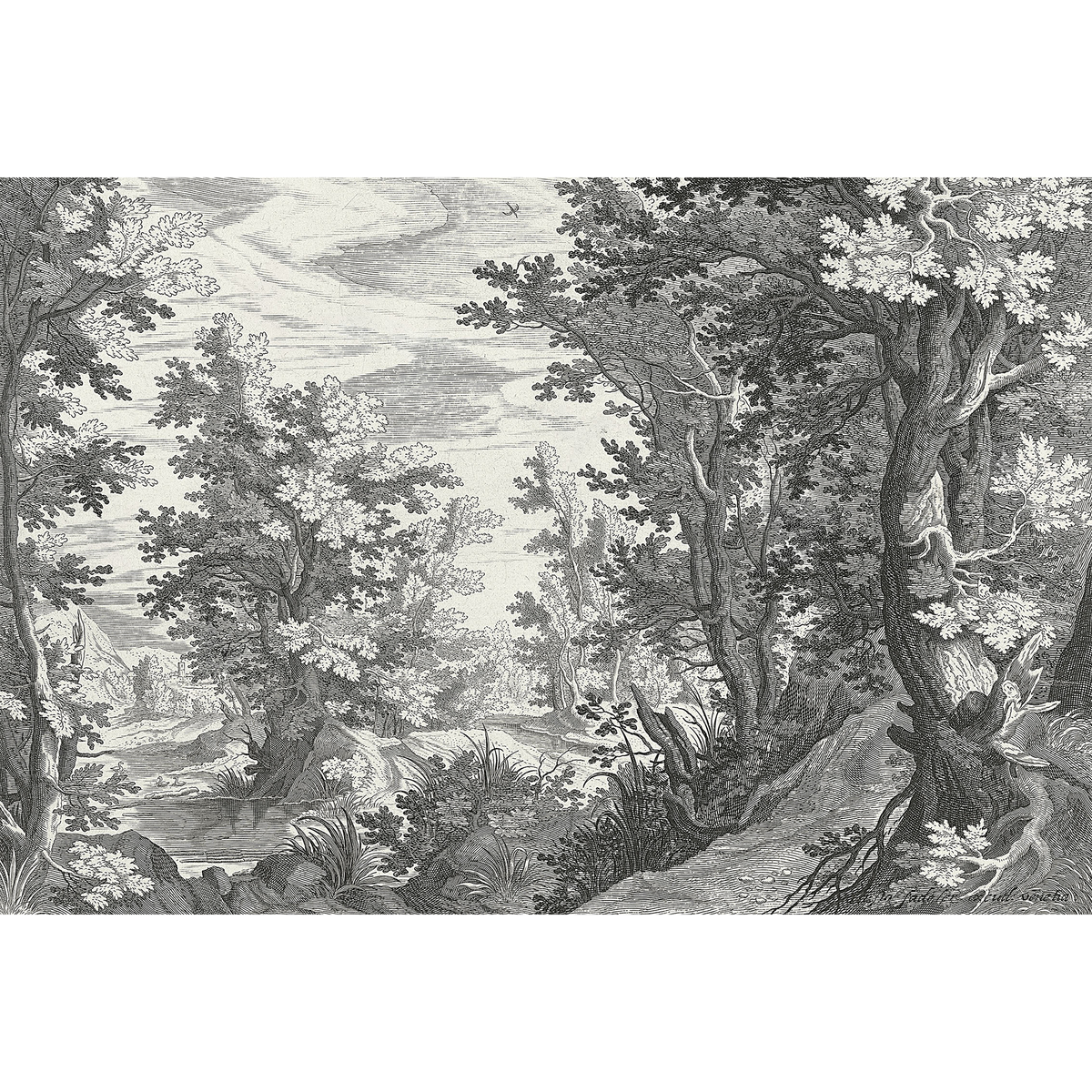 Papier peint panoramique XL Fancy forest Gris anthracite Brillant